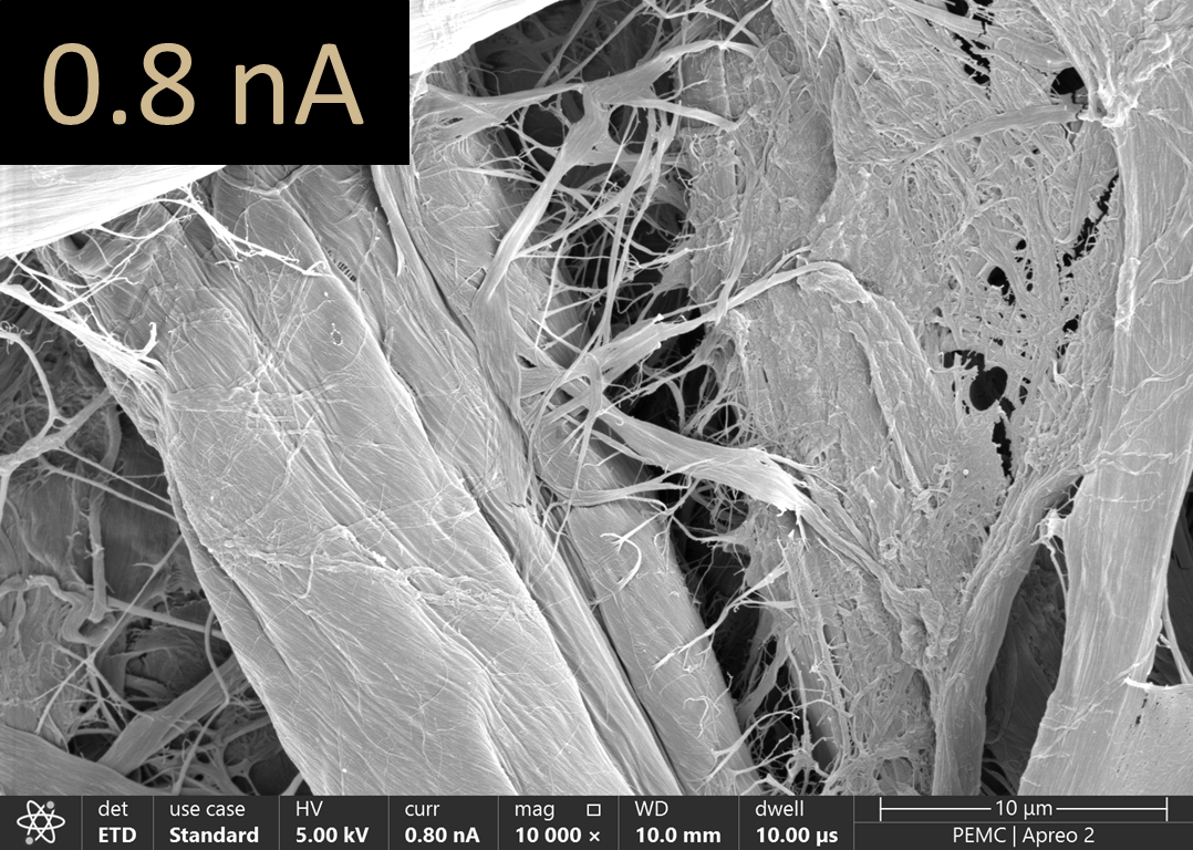 Paper imaged using 0.8 nA.