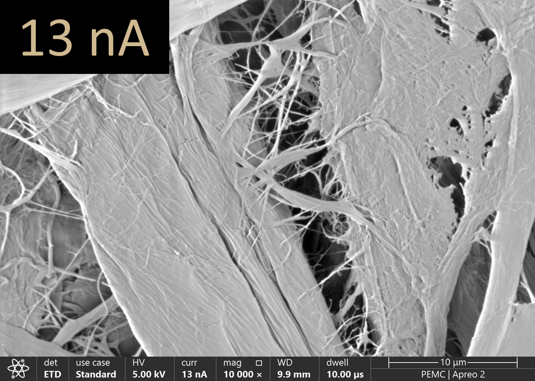 Paper imaged using 13 nA.