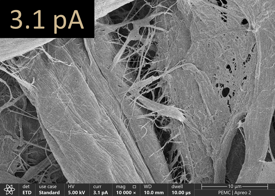 Paper imaged using 3.1pA.