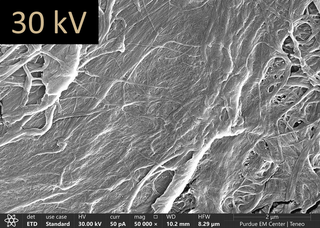 Paper imaged using 30 kV.