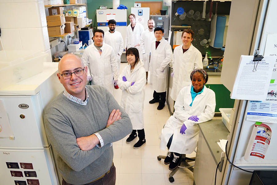 Dr. Stephen Lindemann