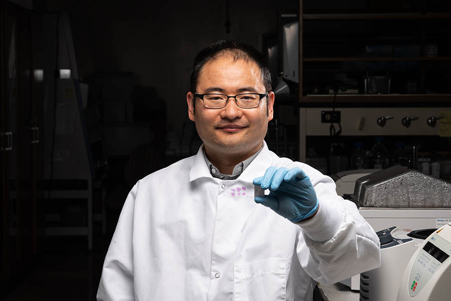 Dr. Weicang Wang