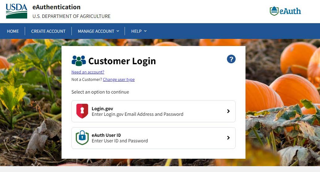 eAuthentication page