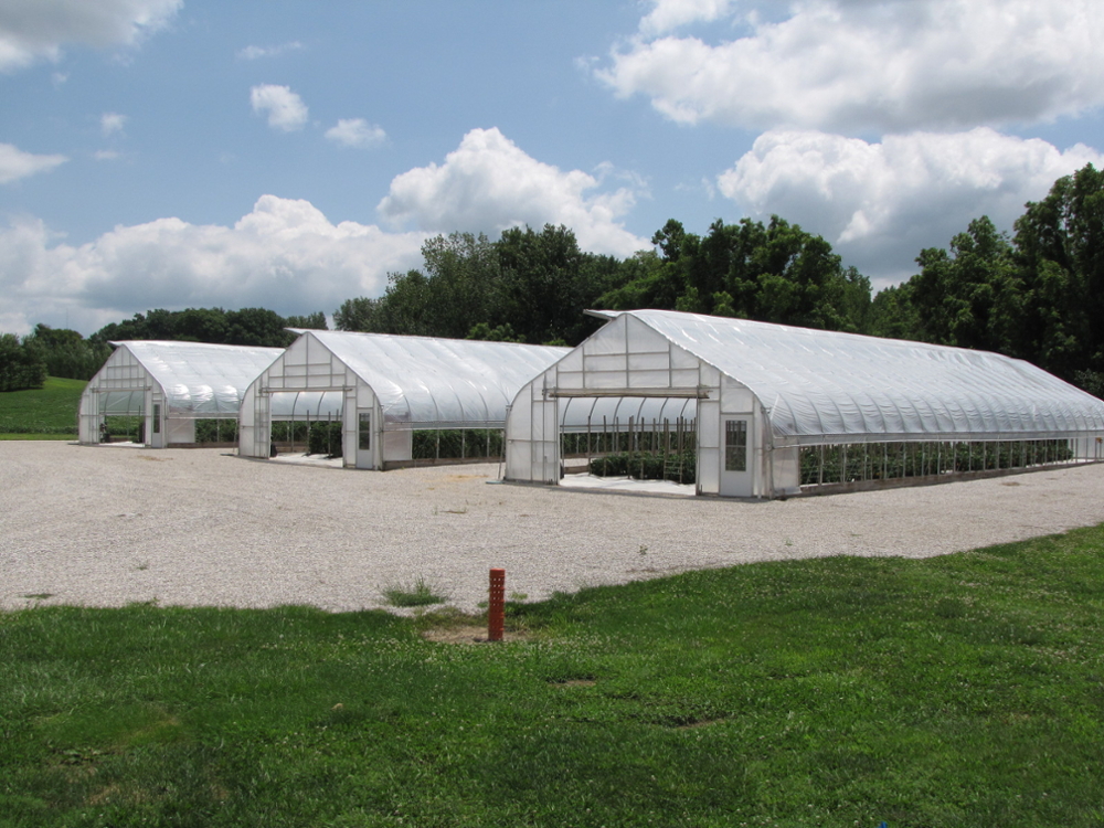 Green House