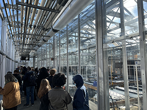 High school students observe the hydroponics systems in the greenhouse