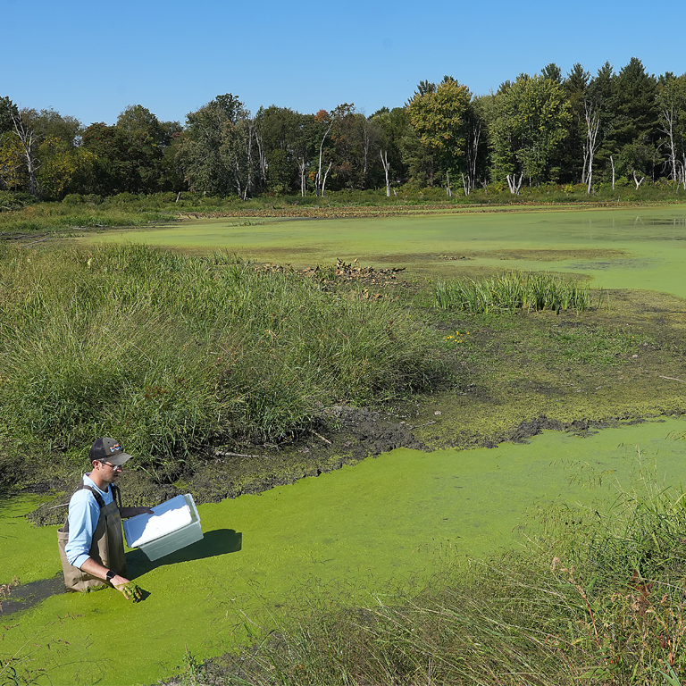 Townsend Communication in Agriculture Competition