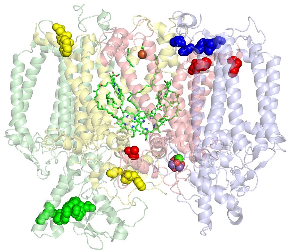 psii modifications 