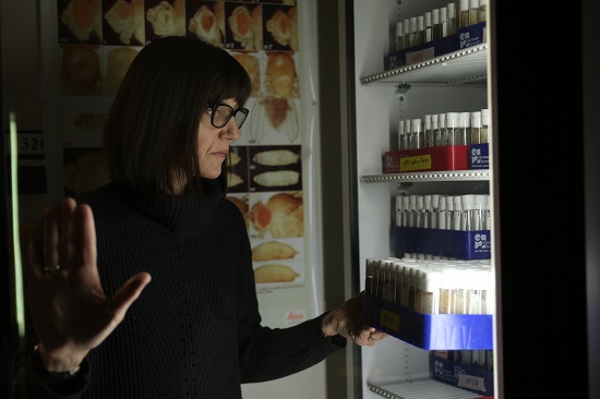 Image of a woman working in dark room