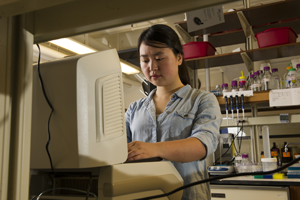 Image of jingqun working on the lab