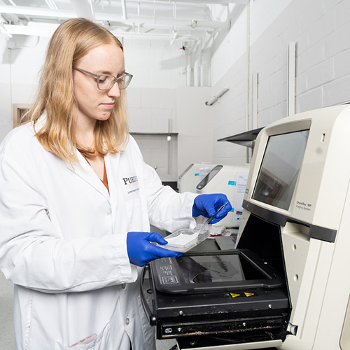 student using imaging machine