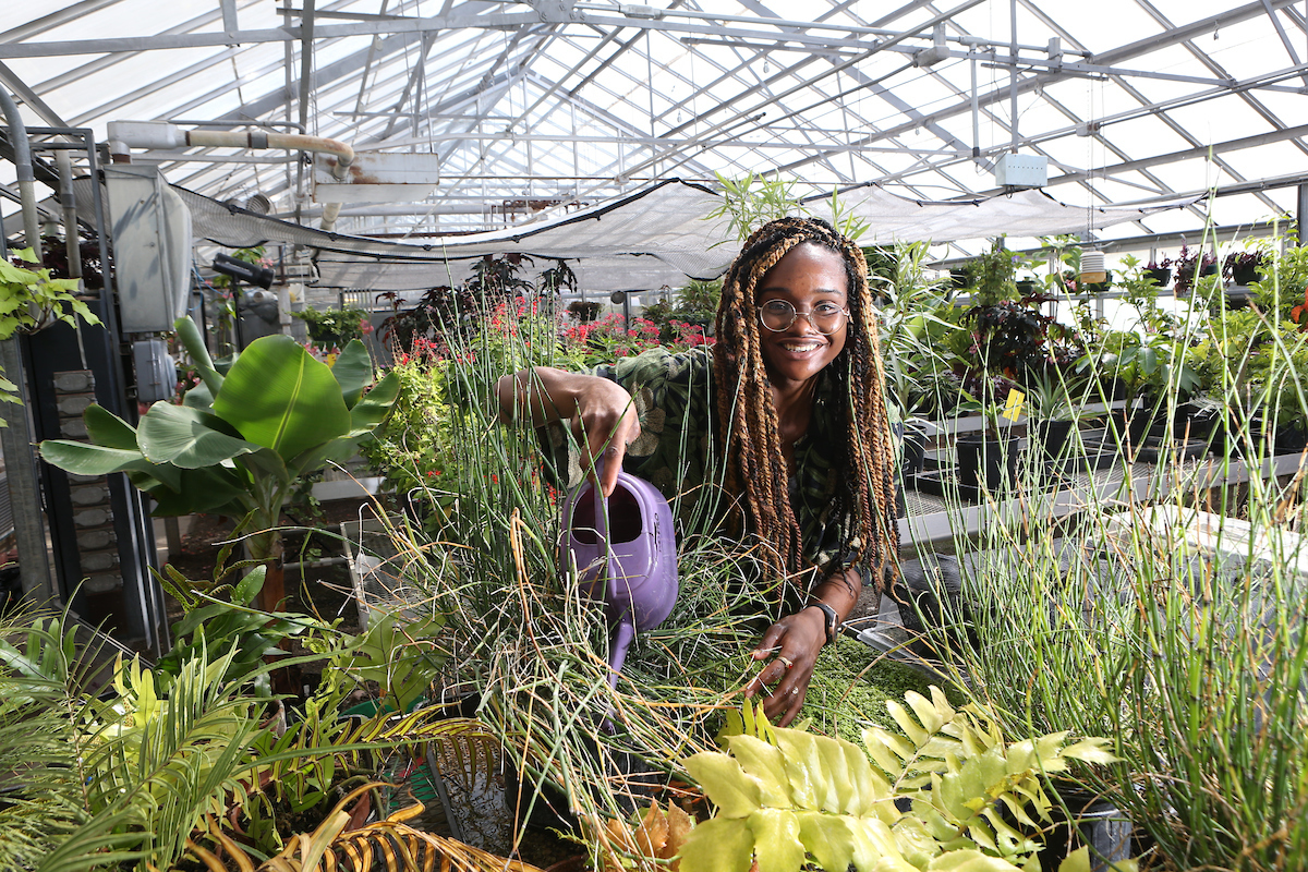 Woman waterin plant on a greenhouse work