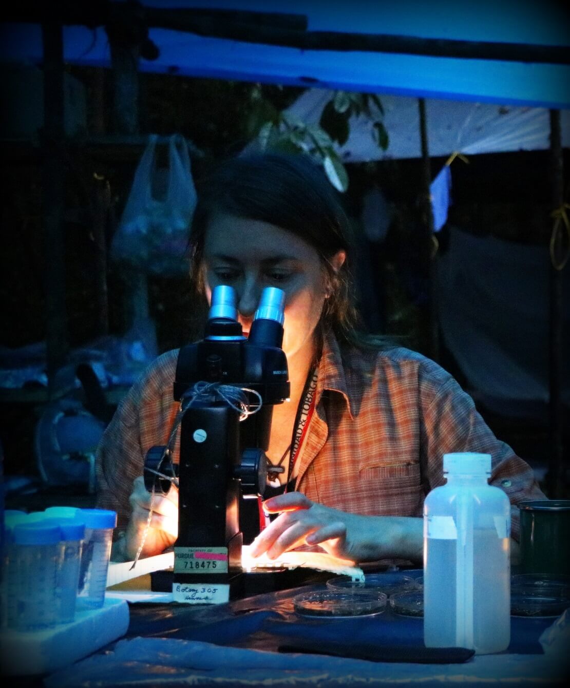 M. Catherine (Cathie) Aime