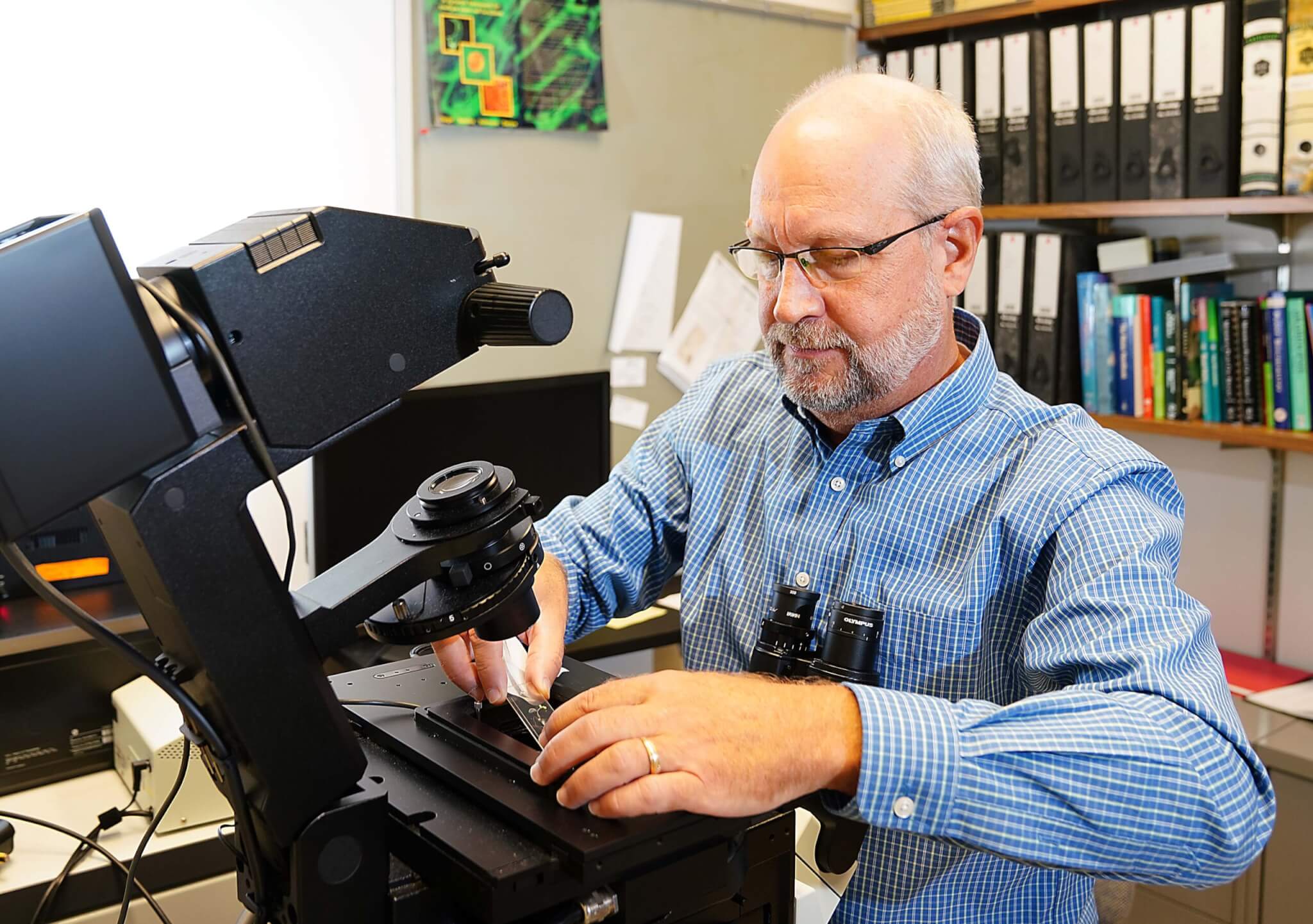 Staiger examining slide on microscope