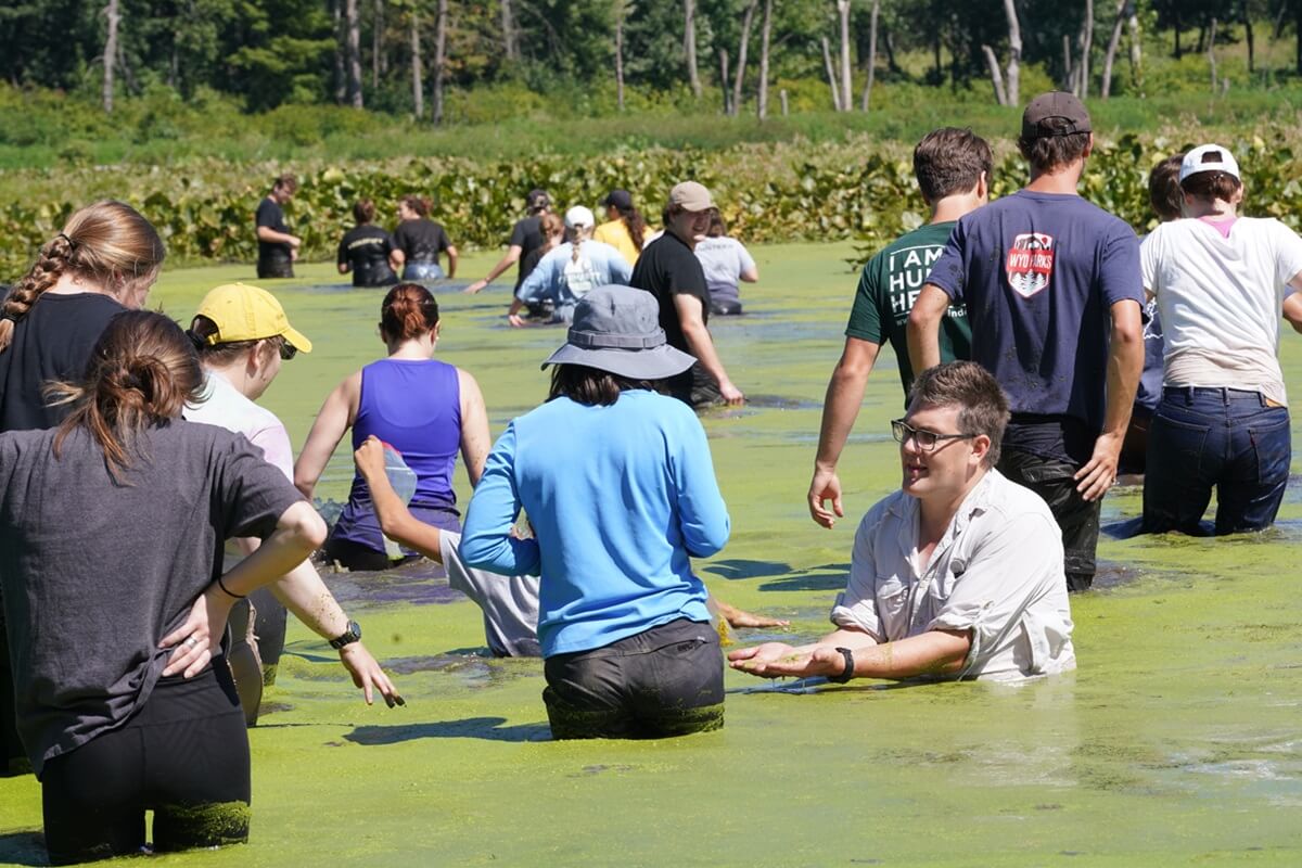 students wading in green water