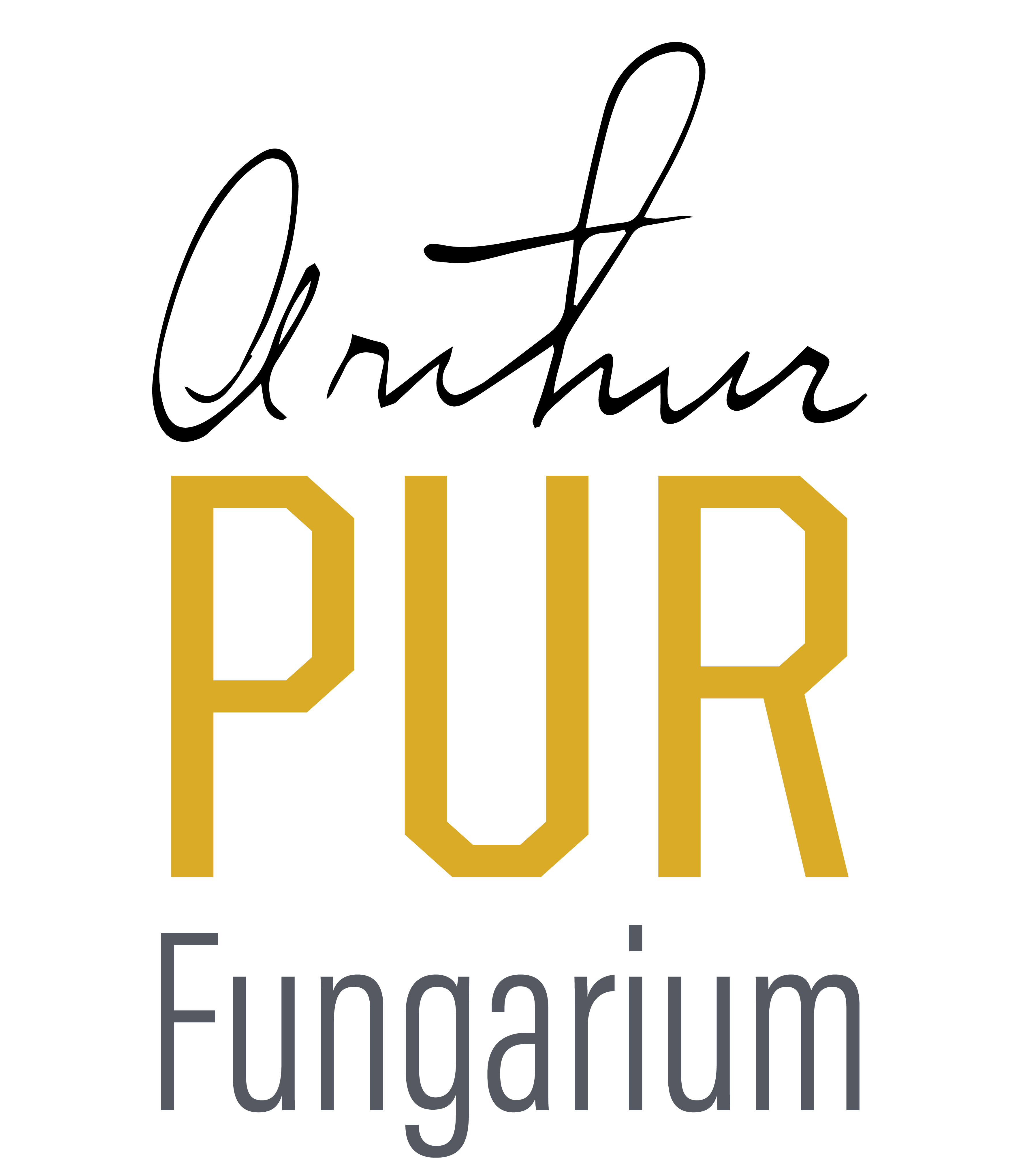 aurthur-pur-02.png