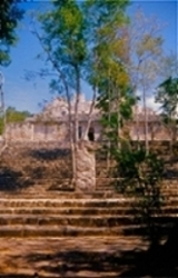 calakmul