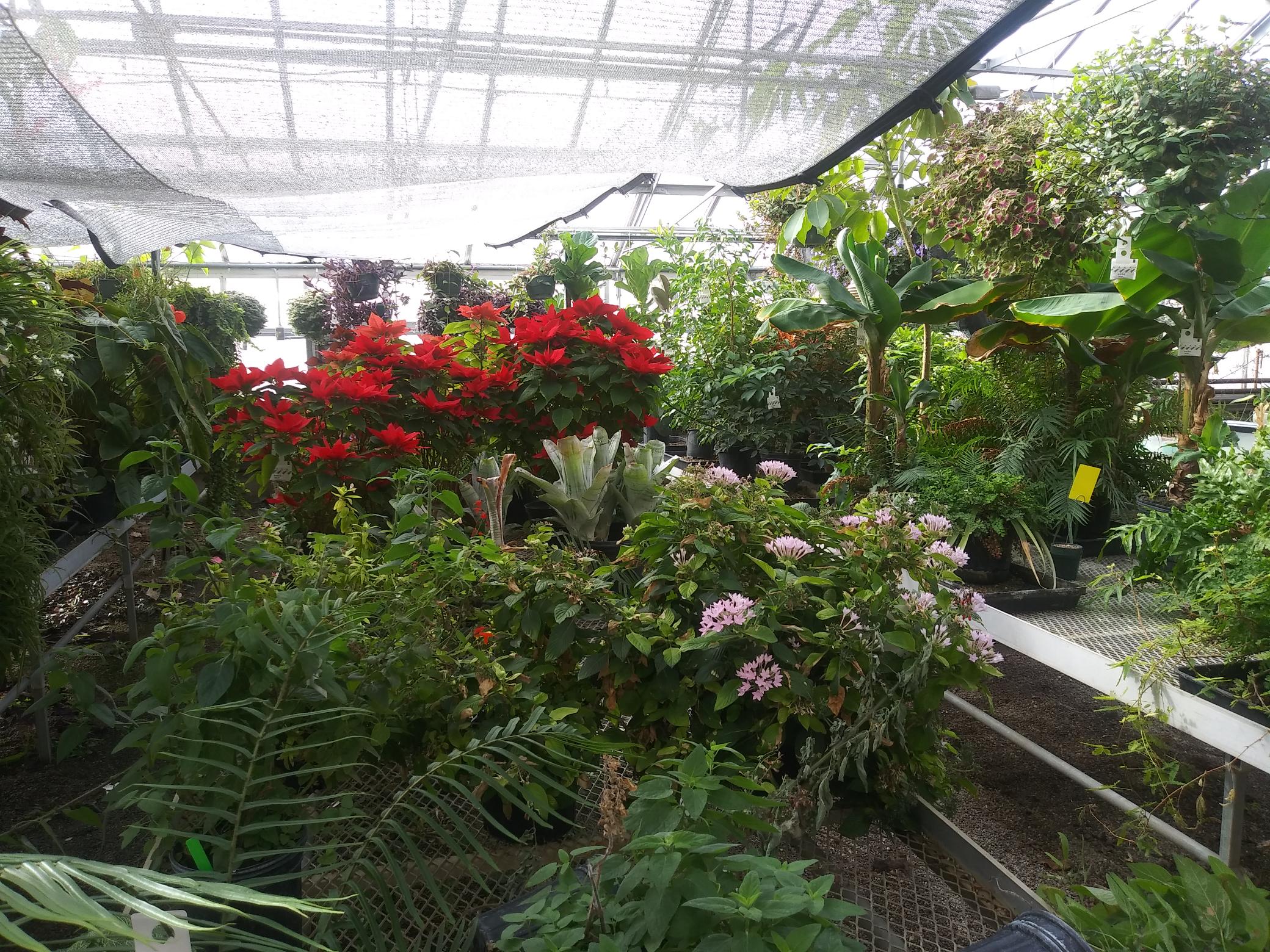 Life Science Ranges and Plant Growth Facility