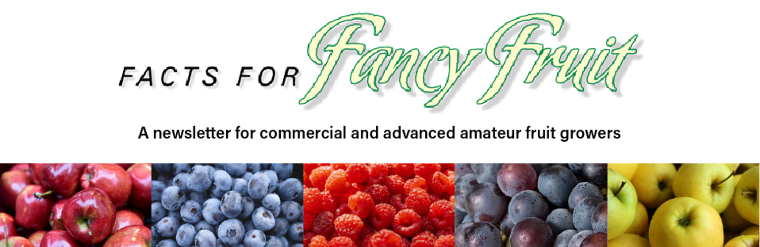 fancy fruit branding