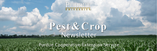 pest and Crop icon