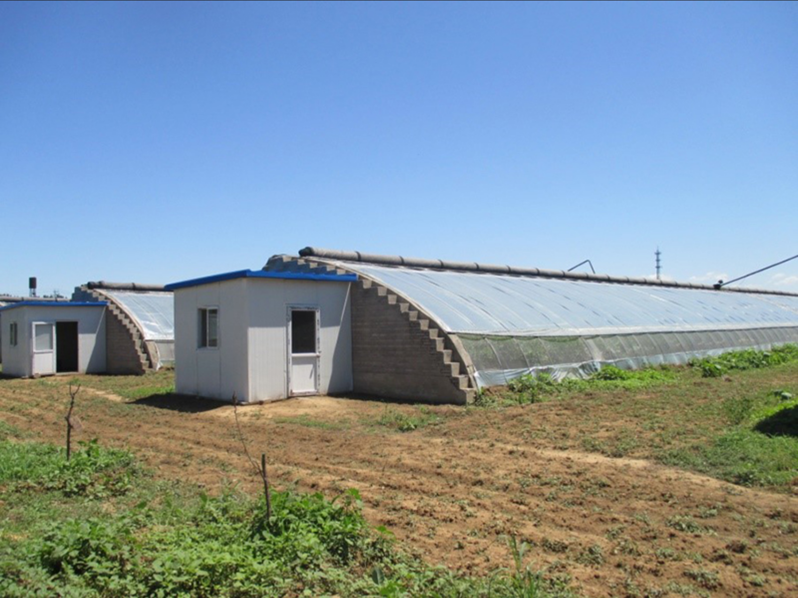 Outside view of Chinese-style solar greenhouses.