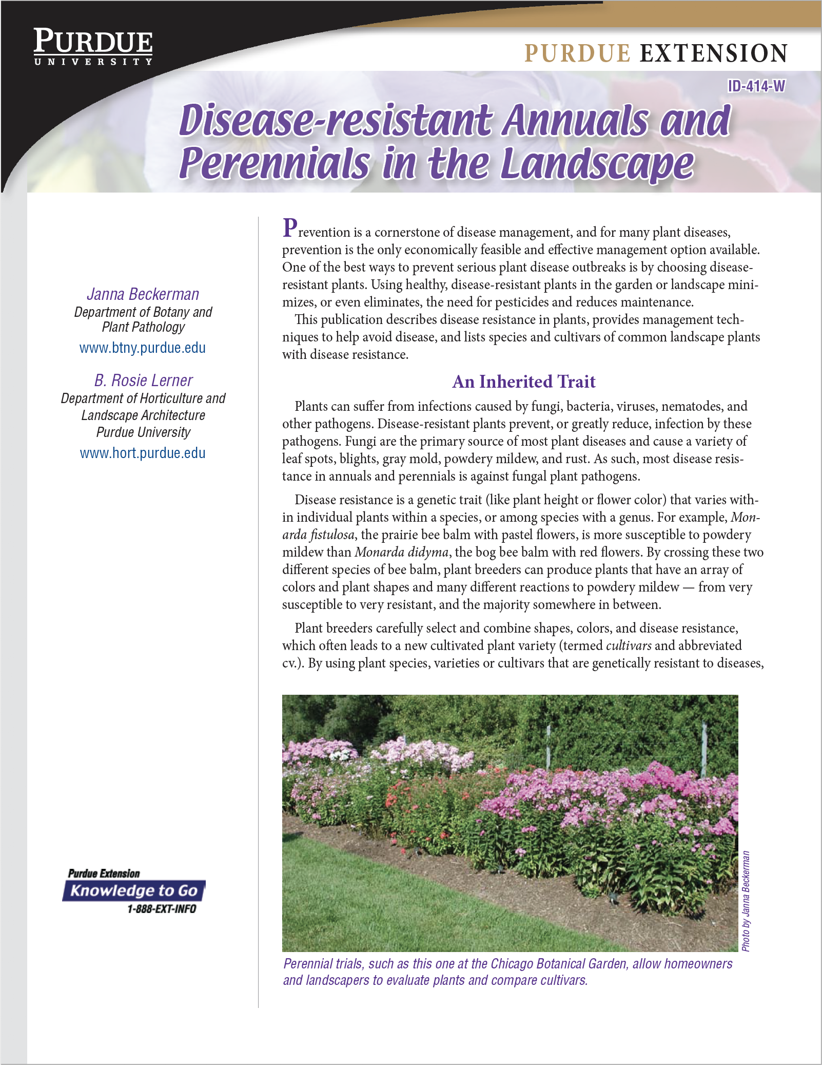 Disease resistant Annuals and Perennials in the Landscape