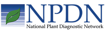 NPDN icon