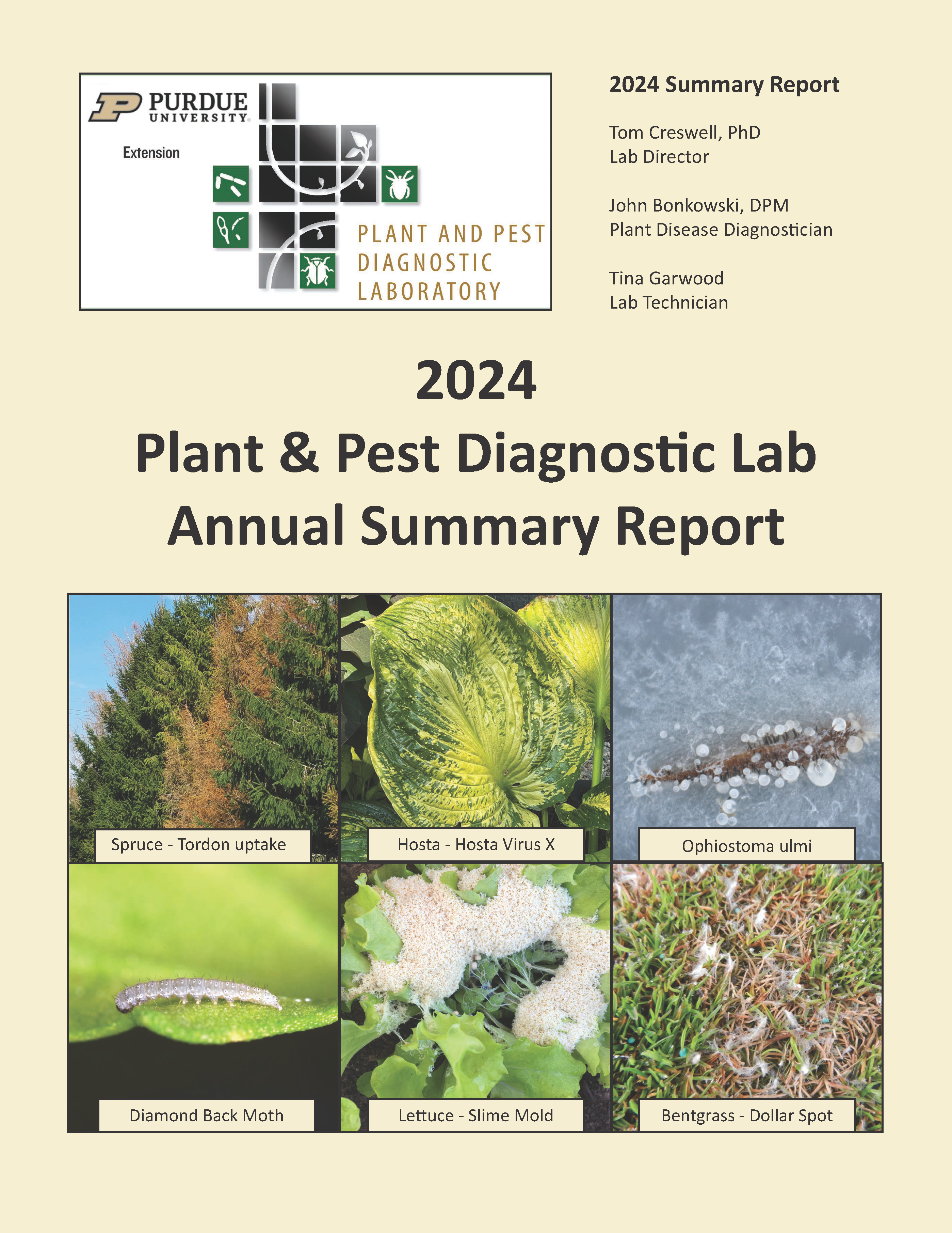 Cover page of 2024 Annual Report