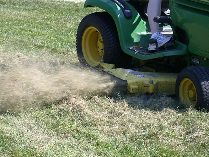 crabgrass getting mowed