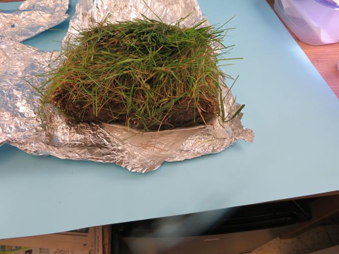 Turf sample on opened aluminum foil