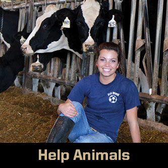 help animals