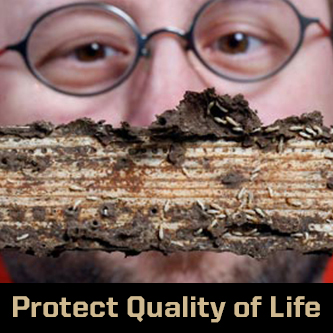 protect quality of life