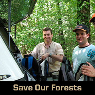 save our forests