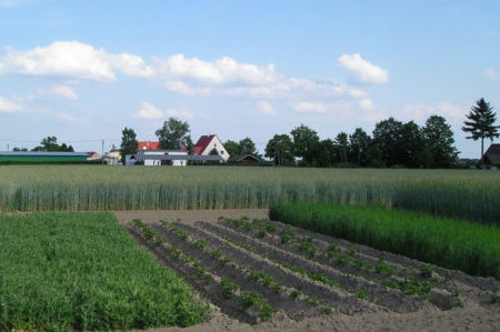 crop rotation article
