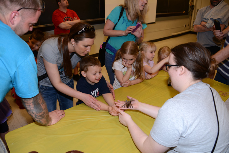 children seeing tarantulas