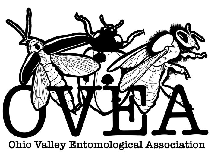 ovea logo