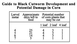 Chart Guide to Black Cutworm Development and Potential Damage in Corn
