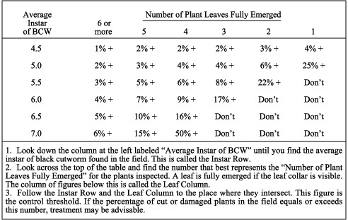 Table of when to treat for black cutworm