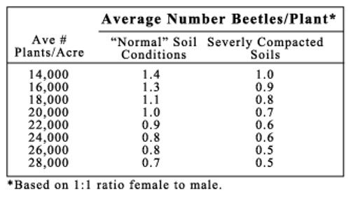 CRW_AvgBtlesPerPlantContinuous