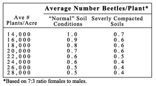 CRW_AvgBtlesPerPlantFirstYr