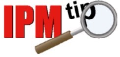 IPM tip icon