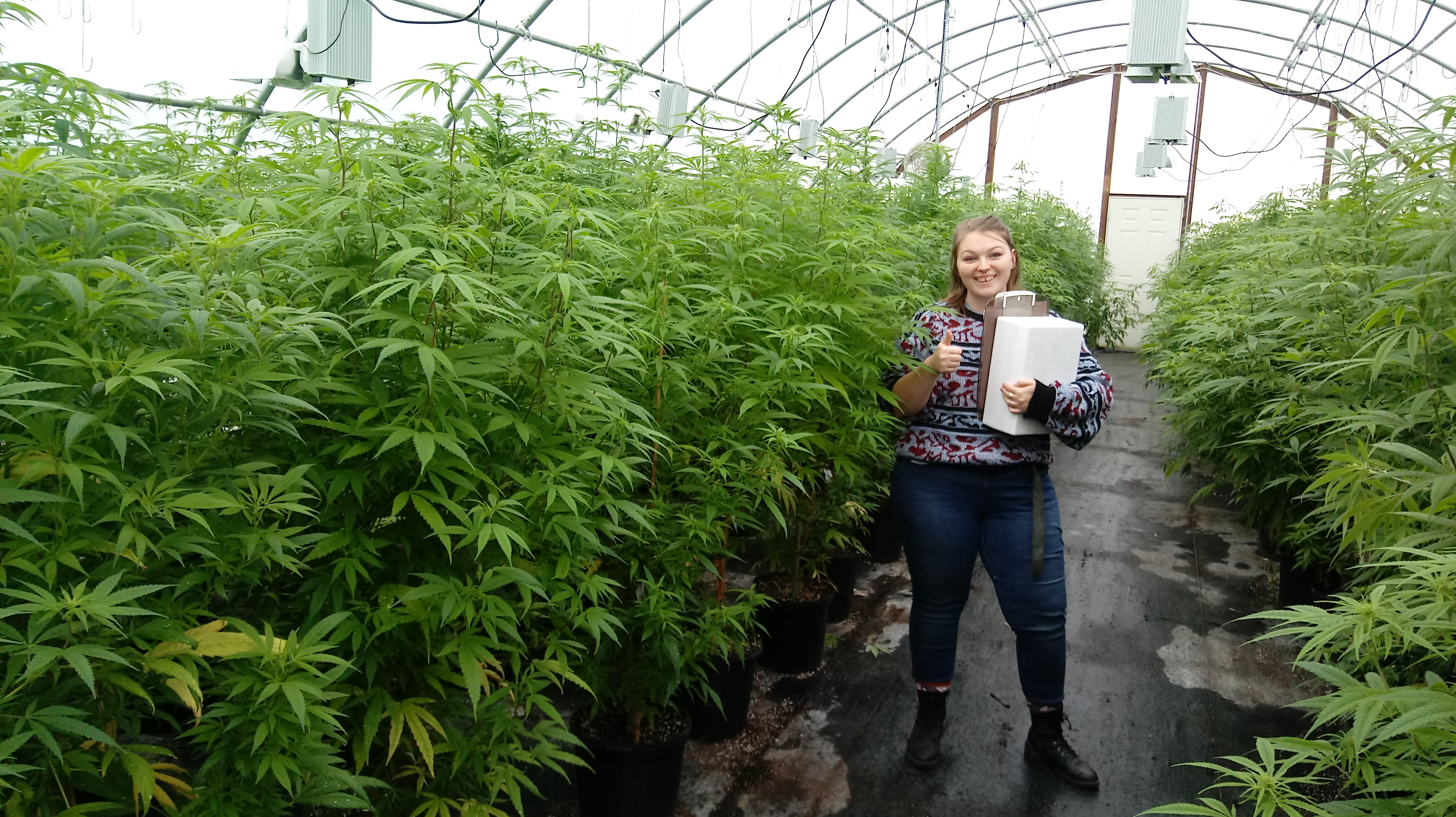 High tunnel hemp production with Catherine Terrell