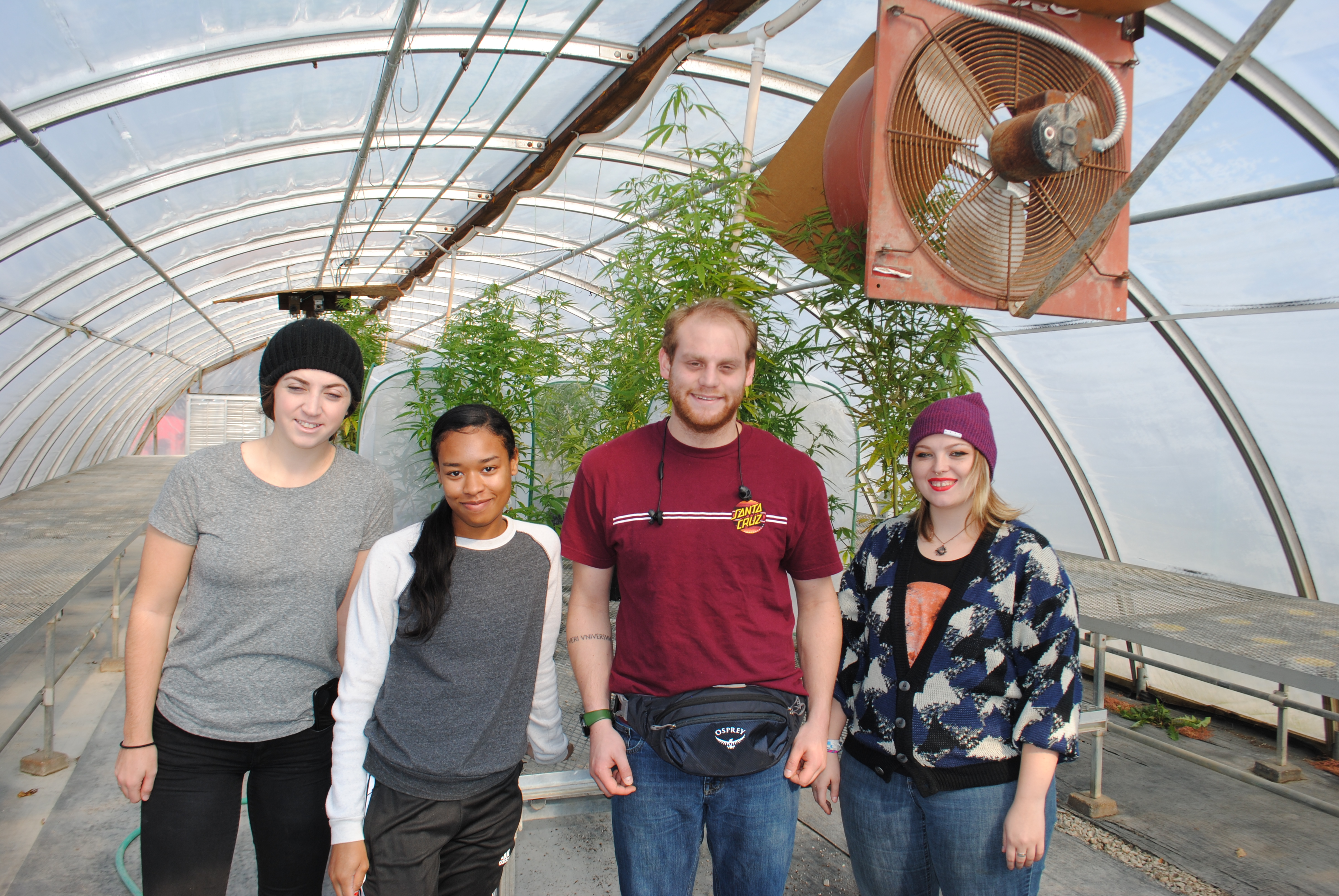 Students working in high tunnels