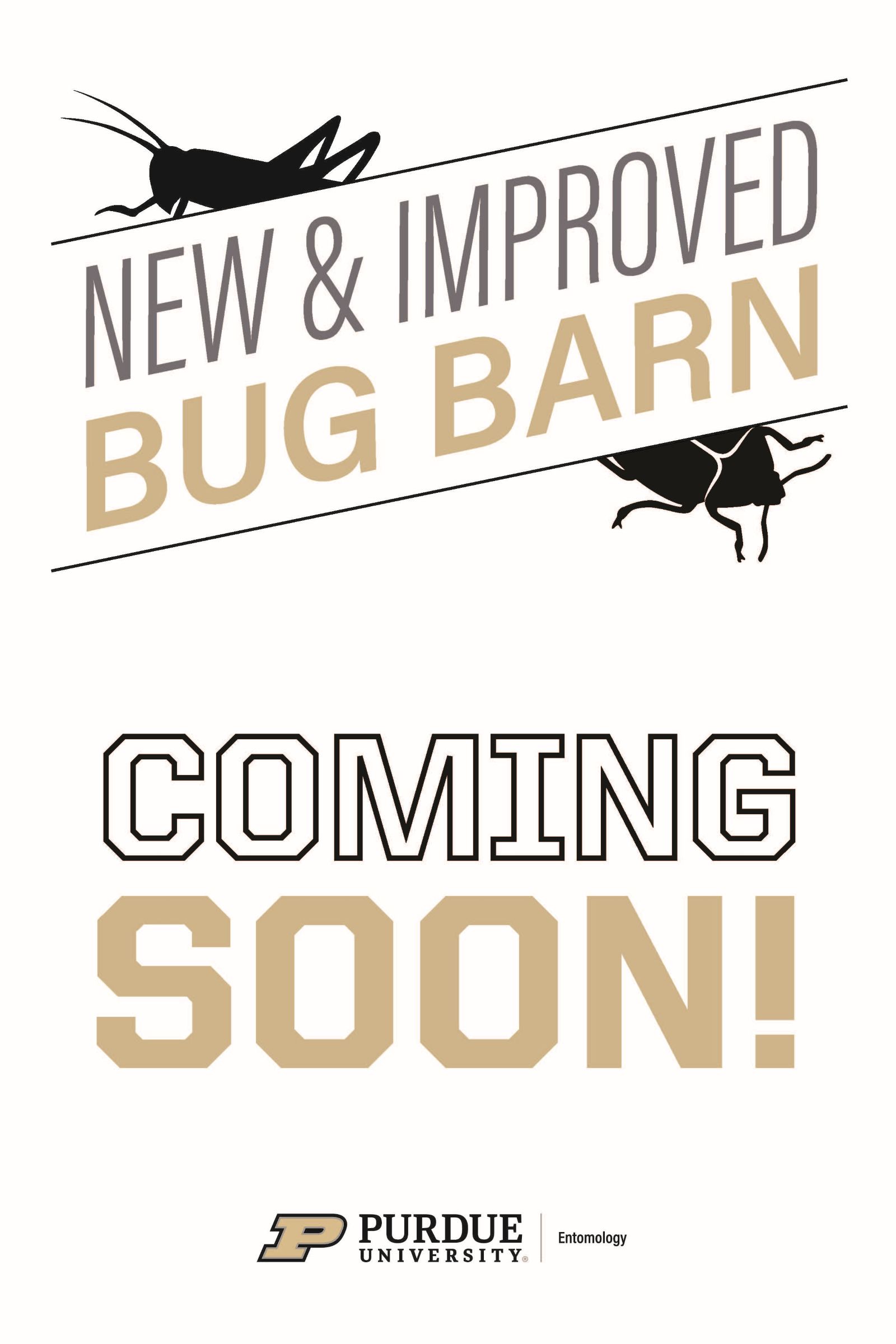 bug barn coming soon