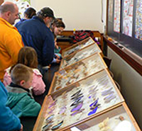Insect Science Education