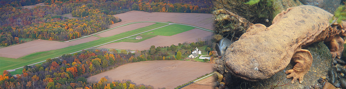 Aerial view of farm land and house beside a photo of hellbender.