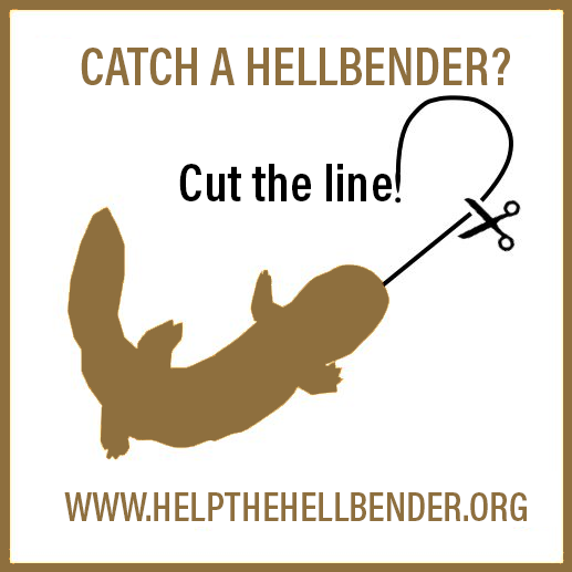 Hellbender Lures 