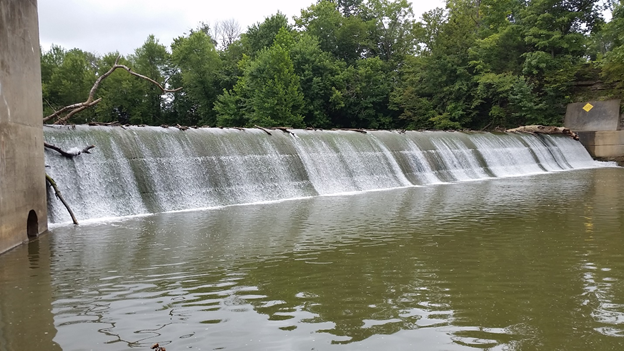 Dam in stream changing water flow and blocking aquatic wildlife movement. Photo credit: Nick Burgmeier.