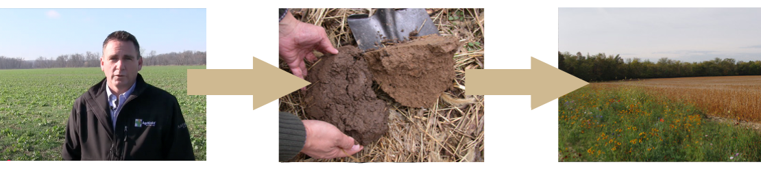 Screenshot from hellbenders youtube video with a gold arrow to a hand and shovel digging dirt, with another gold arrow to crops