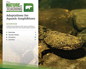 FNR-573-W Publication Adaptations for Aquatic Amphibians.