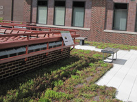 Green roof.